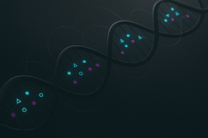 Representación de la gramática reguladora del genoma: motivos, espaciado y lazos 3D sobre una doble hélice de ADN