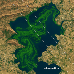 Composición satelital del embalse de Hartbeespoortdam que revela la intensa proliferación de algas verdes sobre aguas profundas, con trazas de observación de Sentinel-2 y Landsat 8 (imagen generada por IA)